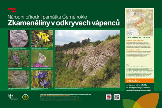 Naučná stezka Radotín: Zastávka č. 10 - Národní přírodní památka Černé rokle - Zkameněliny v odkryvech vápenců