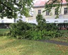 Popadané větve v centru Radotína, 17.8.2023