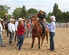 Velké radotínské rodeo o senátorský pohár, 21.5.2016
