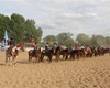 Velké radotínské rodeo o senátorský pohár, 21.5.2016
