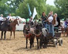 Velké radotínské rodeo o senátorský pohár, 23.5.2015