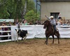 Velké radotínské rodeo o senátorský pohár, 23.5.2015