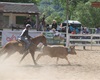 Velké radotínské rodeo o senátorský pohár, 21.5.2016
