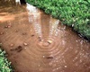Povodně 2002: A tím to začalo - kapky, louže, potoky, řeka..., 12. srpna 2002