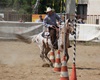 Velké radotínské rodeo o senátorský pohár, 21.5.2016
