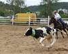 Velké radotínské rodeo o senátorský pohár, 20.5.2017