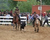 Velké radotínské rodeo o senátorský pohár, 23.5.2015