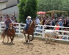 Velké radotínské rodeo, 8.6.2019