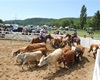 Velké radotínské rodeo, 8.6.2019