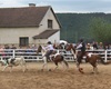 Velké radotínské rodeo o senátorský pohár, 20.5.2017