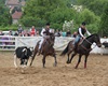 Velké radotínské rodeo o senátorský pohár, 23.5.2015