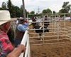 Velké radotínské rodeo o senátorský pohár, 23.5.2015