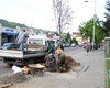 Výsadba lip u autobusového terminálu, 13.5.2010