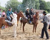 Velké radotínské rodeo, 19.5.2018 