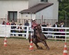 Velké radotínské rodeo o senátorský pohár, 23.5.2015