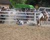 Velké radotínské rodeo o senátorský pohár, 21.5.2016
