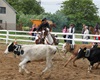 Velké radotínské rodeo o senátorský pohár, 23.5.2015