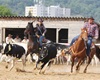 Velké radotínské rodeo, 19.5.2018 