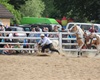 Velké radotínské rodeo o senátorský pohár, 21.5.2016
