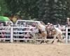 Velké radotínské rodeo o senátorský pohár, 21.5.2016
