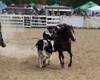 Velké radotínské rodeo o senátorský pohár, 21.5.2016
