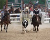 Velké radotínské rodeo o senátorský pohár, 21.5.2016
