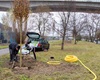 Sázení nových stromů - pod viaduktem, 19.11.2021