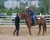 Velké radotínské rodeo o senátorský pohár, 20.5.2017