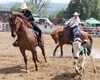 Velké radotínské rodeo, 19.5.2018 