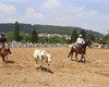 Velké radotínské rodeo, 19.5.2018 