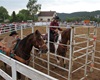 Velké radotínské rodeo o senátorský pohár, 23.5.2015