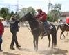 Velké radotínské rodeo o senátorský pohár, 21.5.2016
